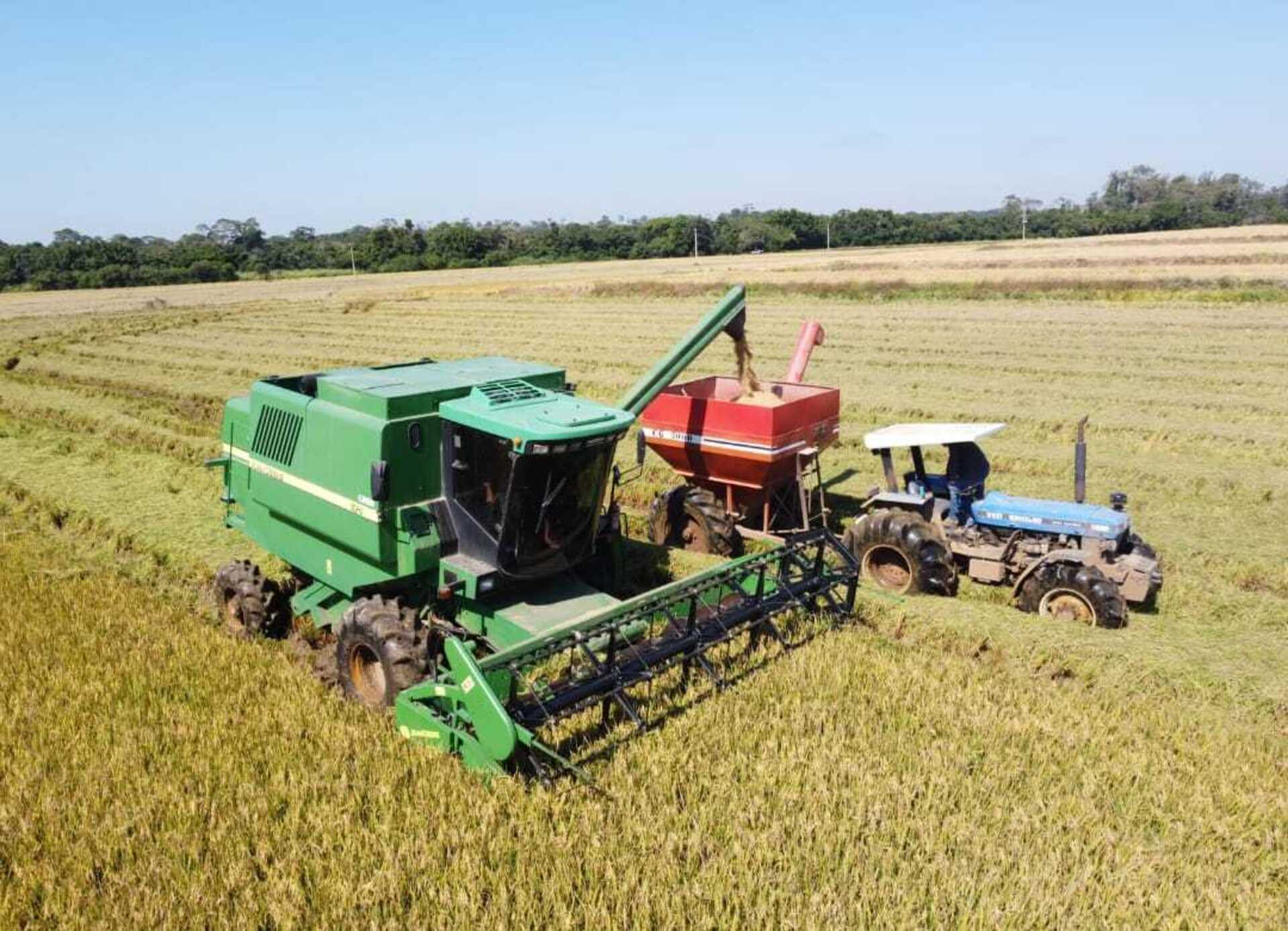 Previsão é que conclusão ocorre na semana que vem
