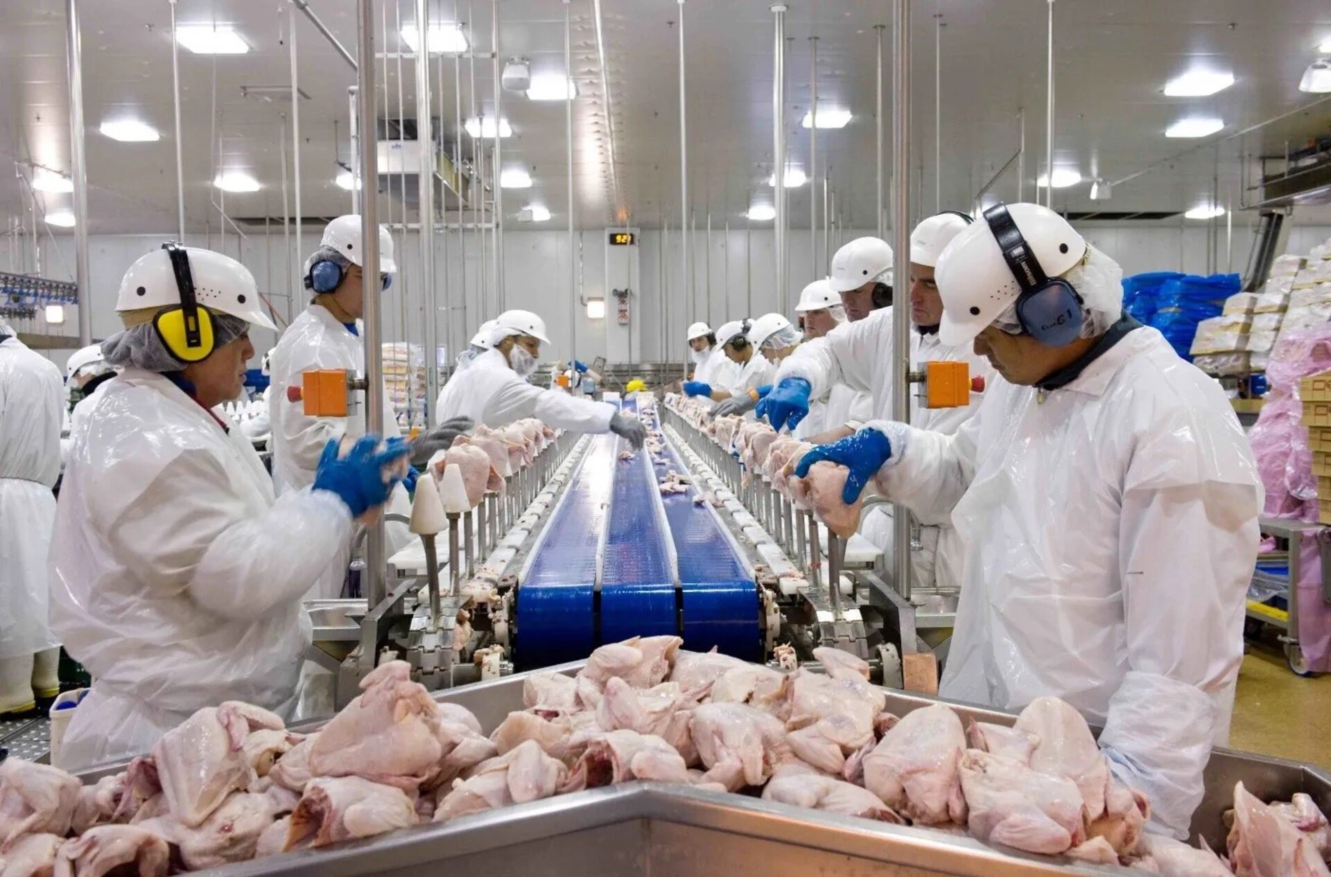 Carne de frango, suína e bovina são destaques