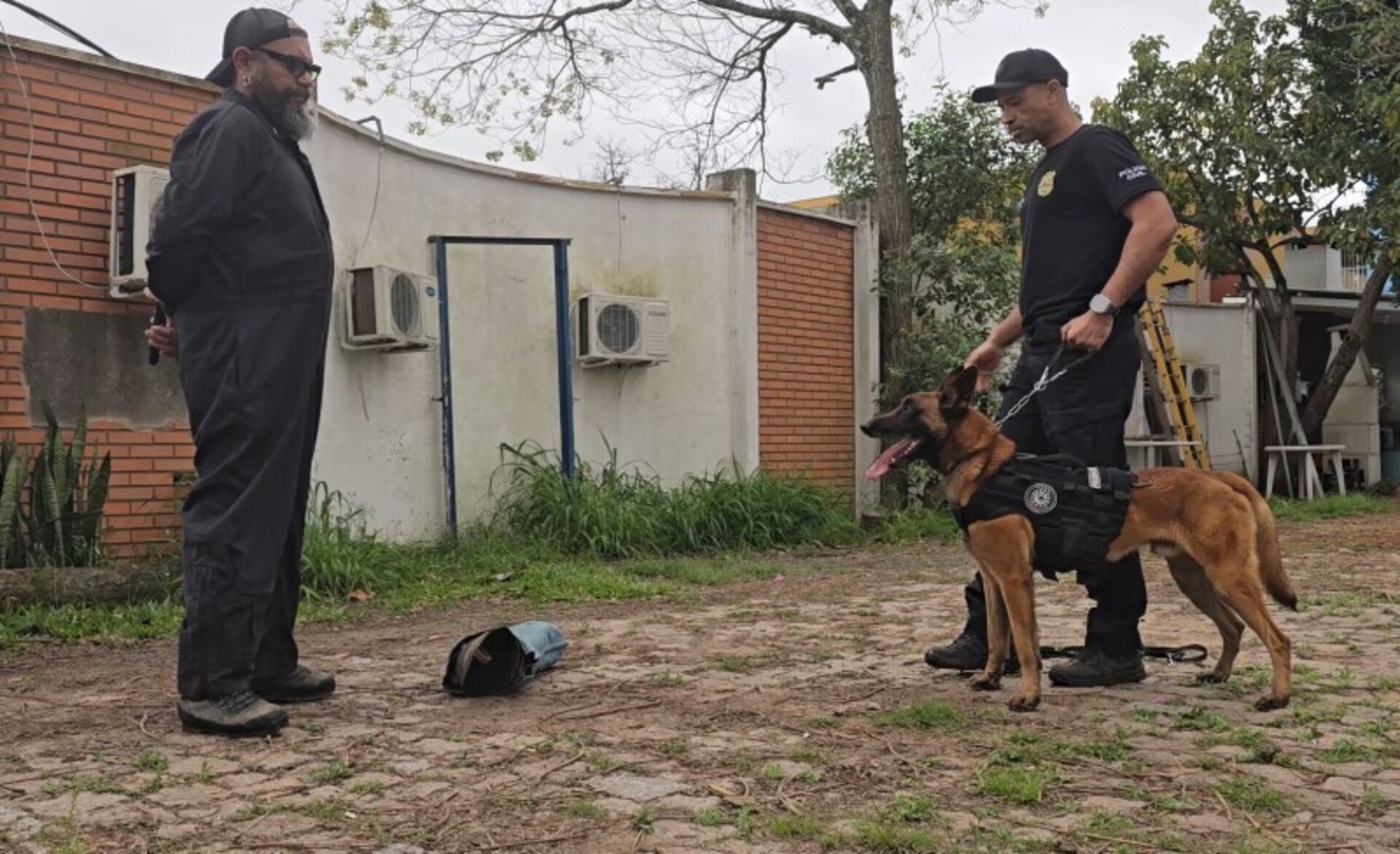 OAB Barro Preto - Cães atuam no combate ao tráfico e criam laços de confiança com policiais