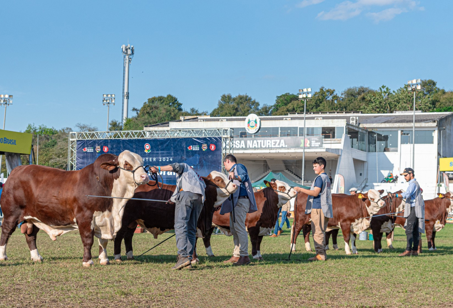 OAB Barro Preto - ABHB abre inscrições para animais na 48ª Expointer