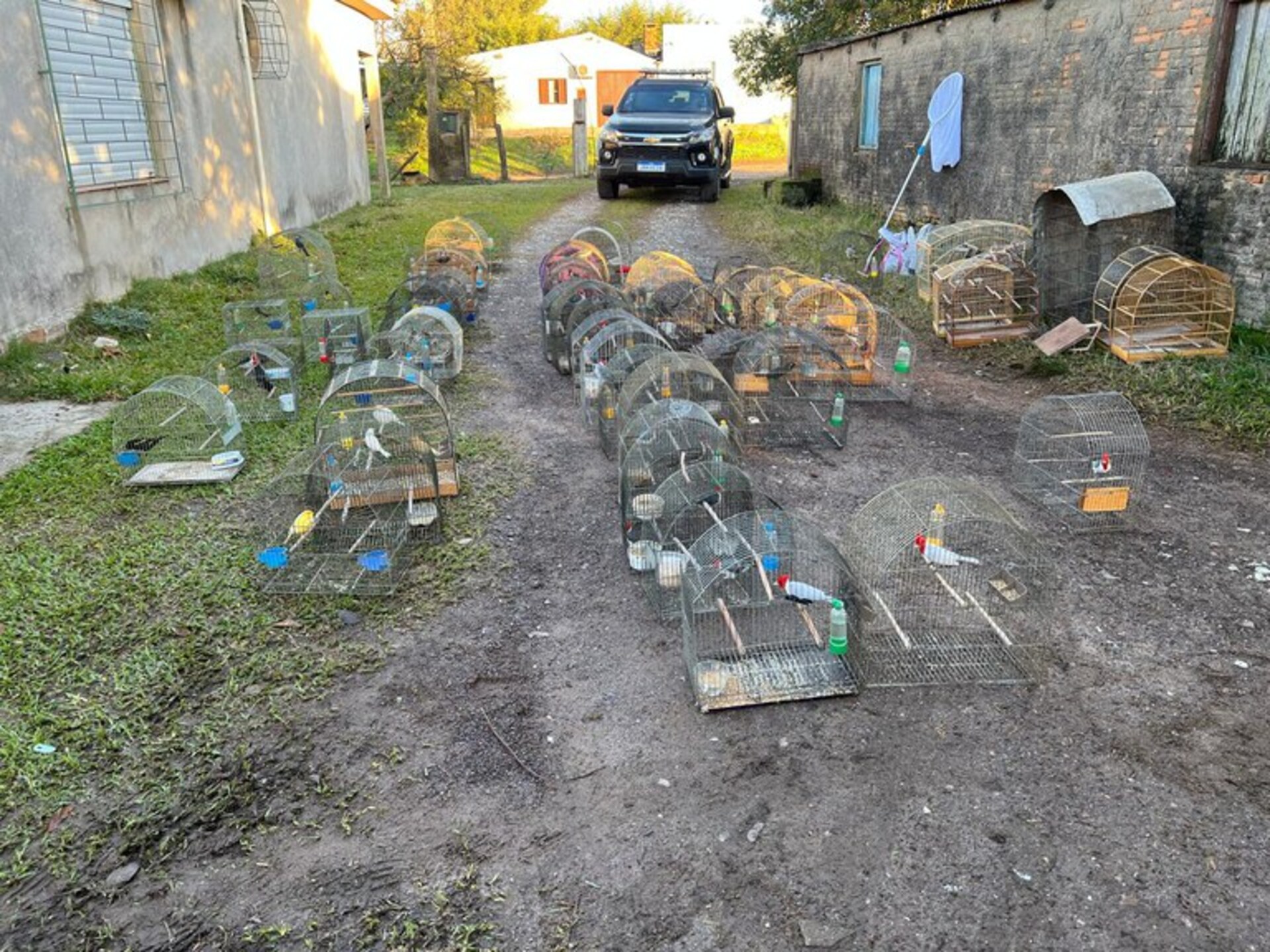 OAB Barro Preto - Polícia Federal realiza nova fase de operação contra tráfico de animais