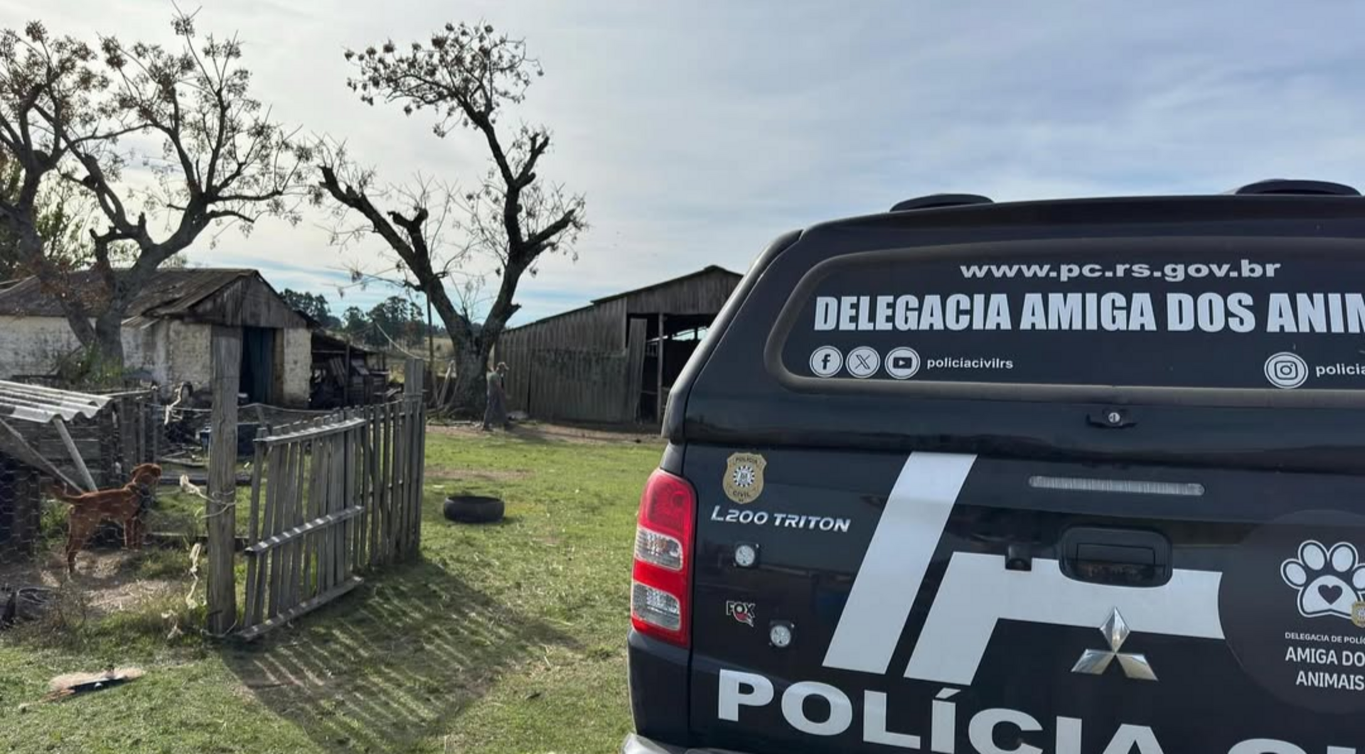 OAB Barro Preto - Homem é preso por maus-tratos a animais