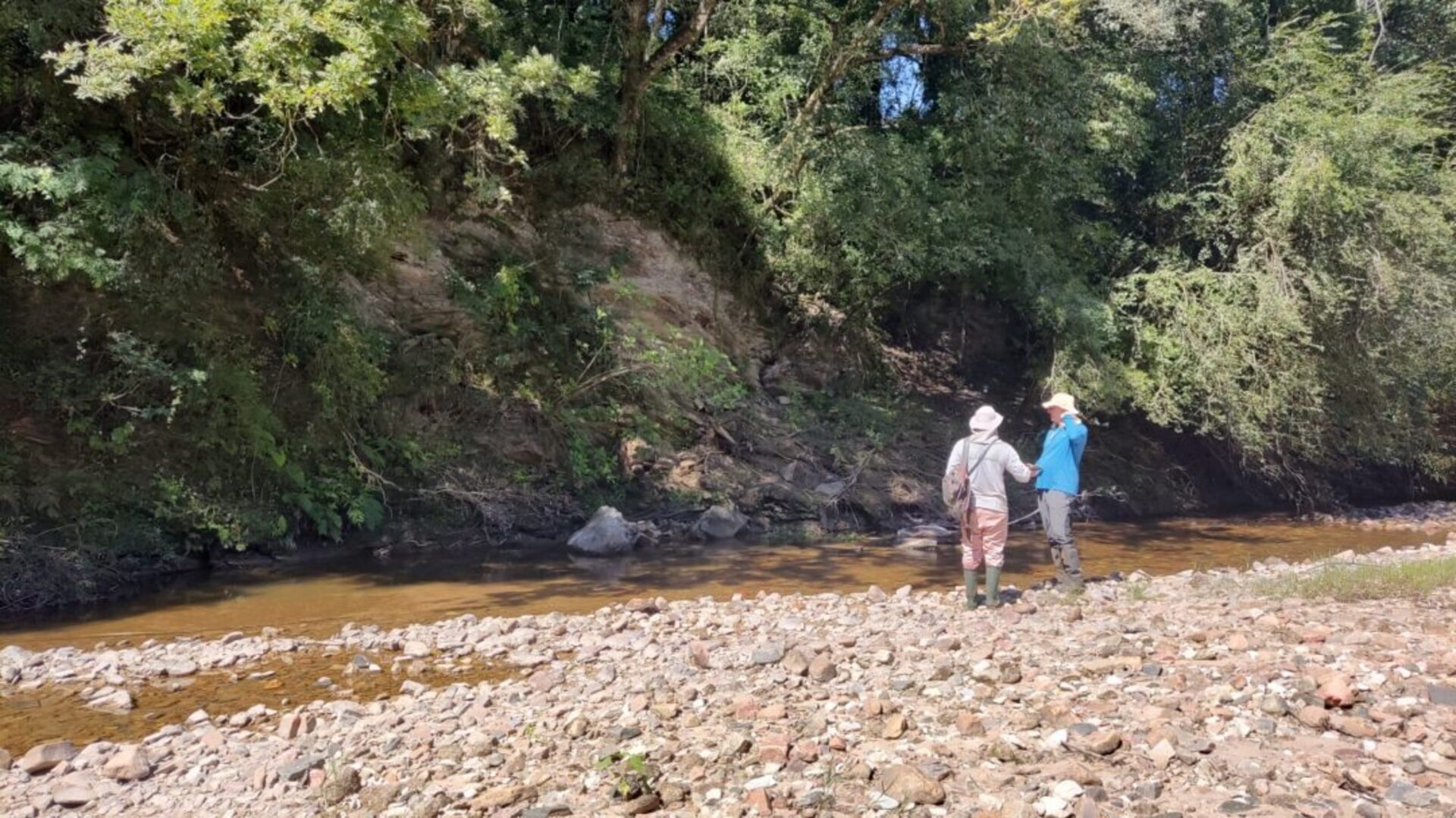 OAB Barro Preto - Pesquisadores identificam alta concentração de terras raras em Caçapava do Sul