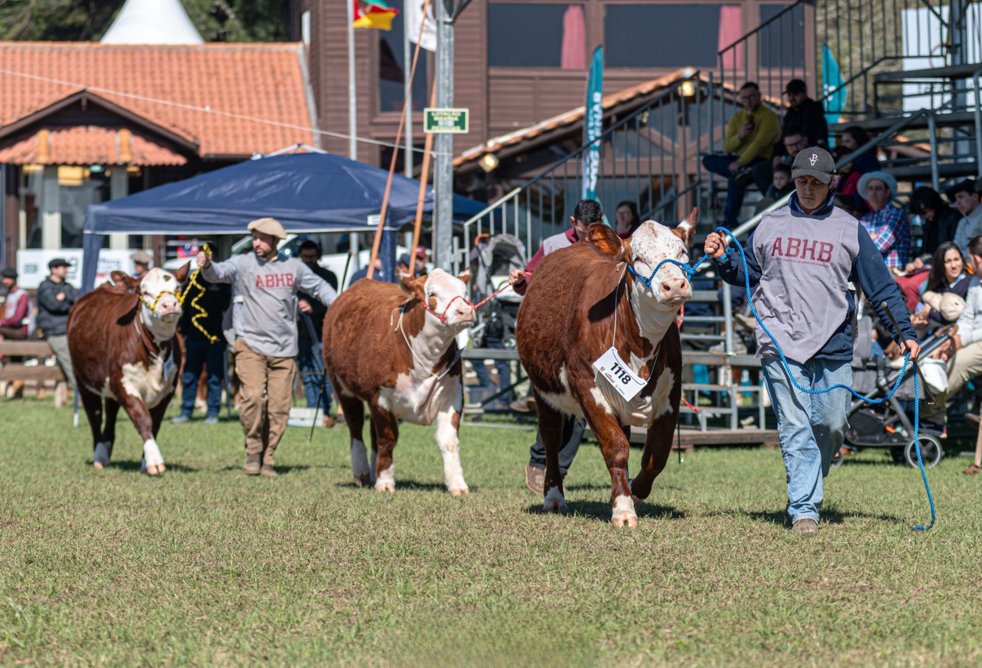 OAB Barro Preto - Hereford e Braford terão agenda intensa na 48ª Expointer