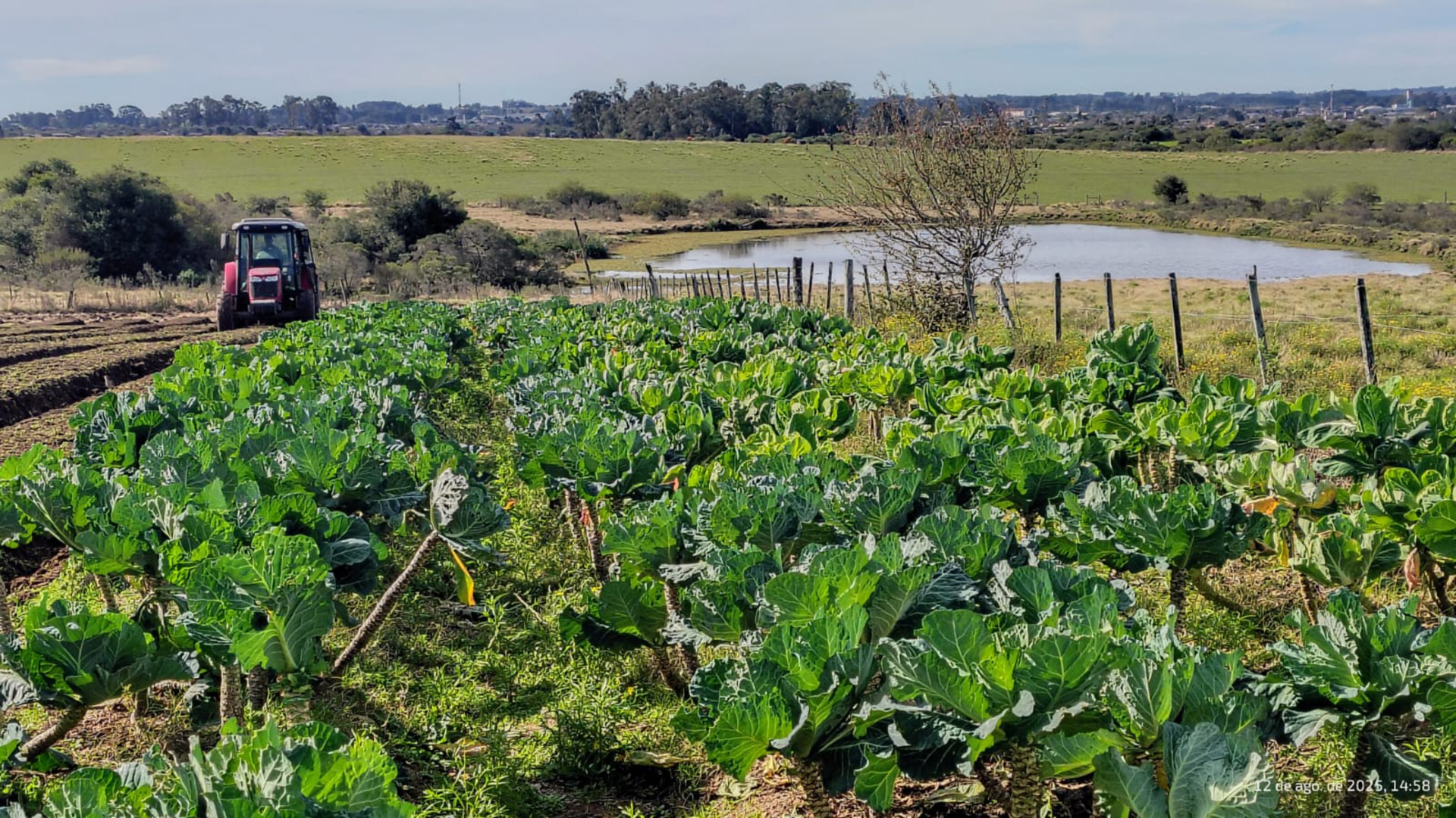 Apoio no campo fortalece pequenos produtores