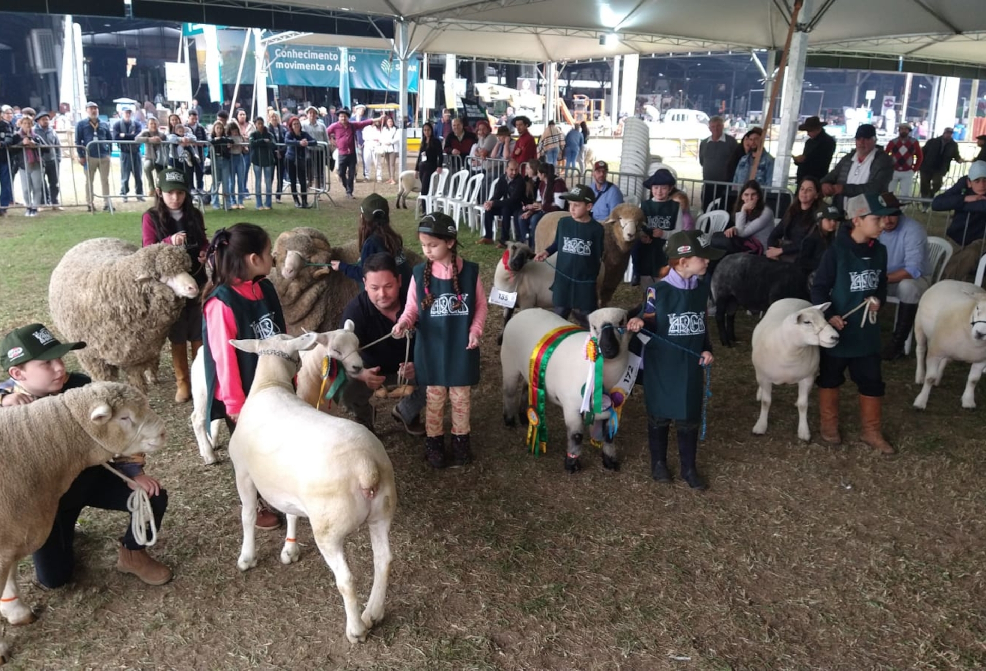 OAB Barro Preto - Ovinocultura terá foco em jovens e promoção da carne