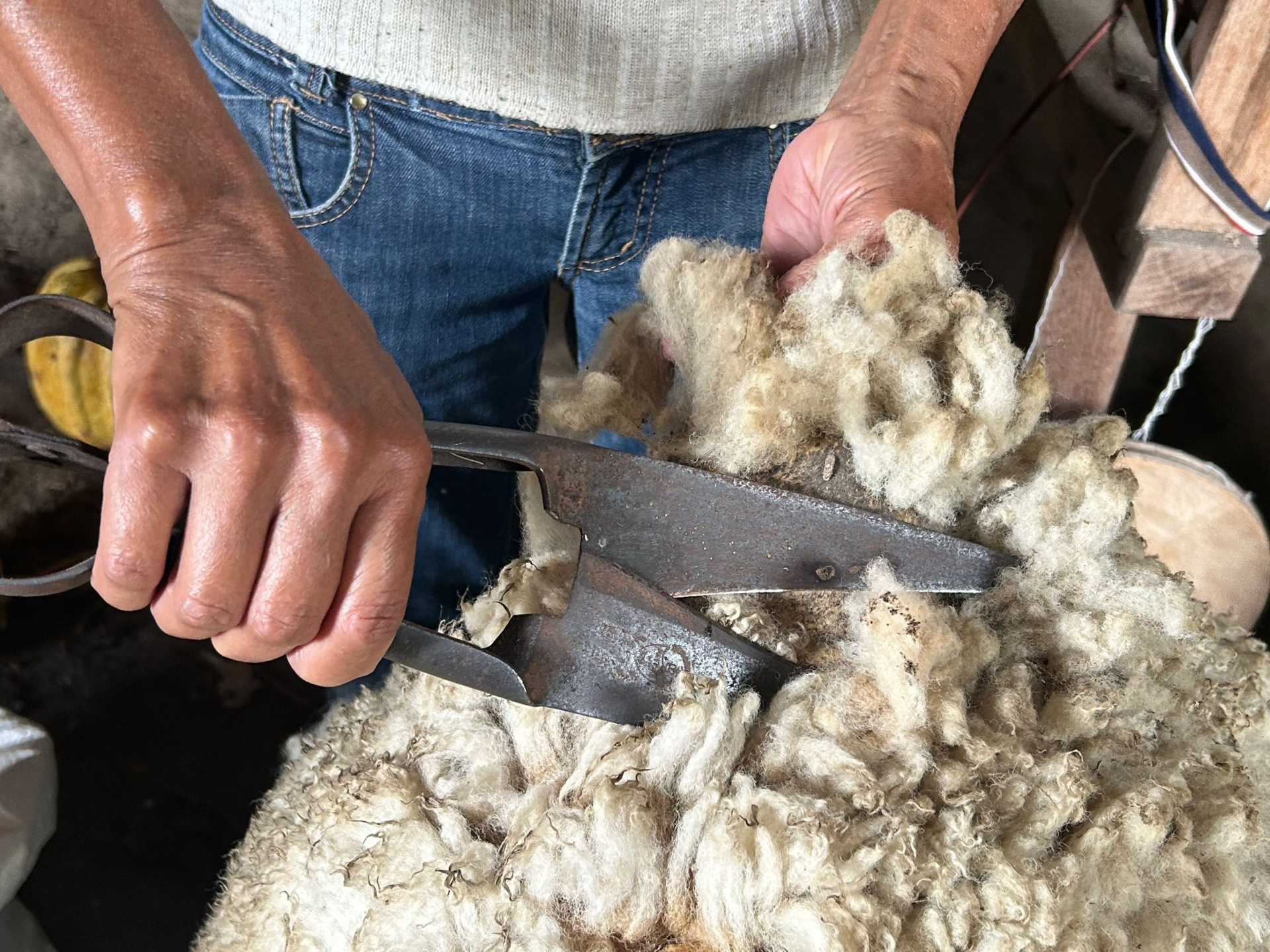 OAB Barro Preto - Curso Rota da Lã chega a Caçapava do Sul e Dom Pedrito