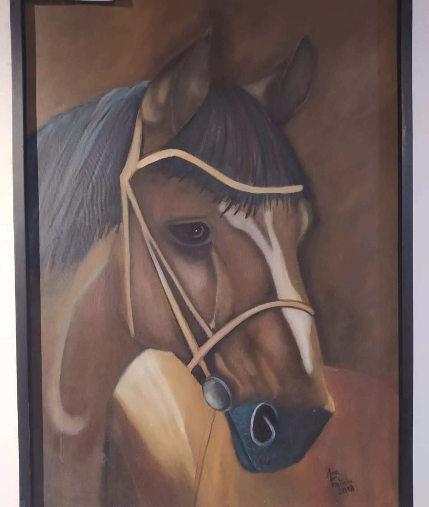OAB Barro Preto - Exposição “Arte Campeira” pode ser conferida até dia 30