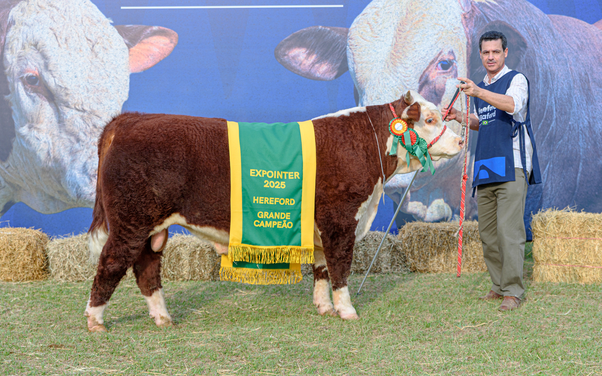 OAB Barro Preto - Gigantes Hereford brilham na Expointer