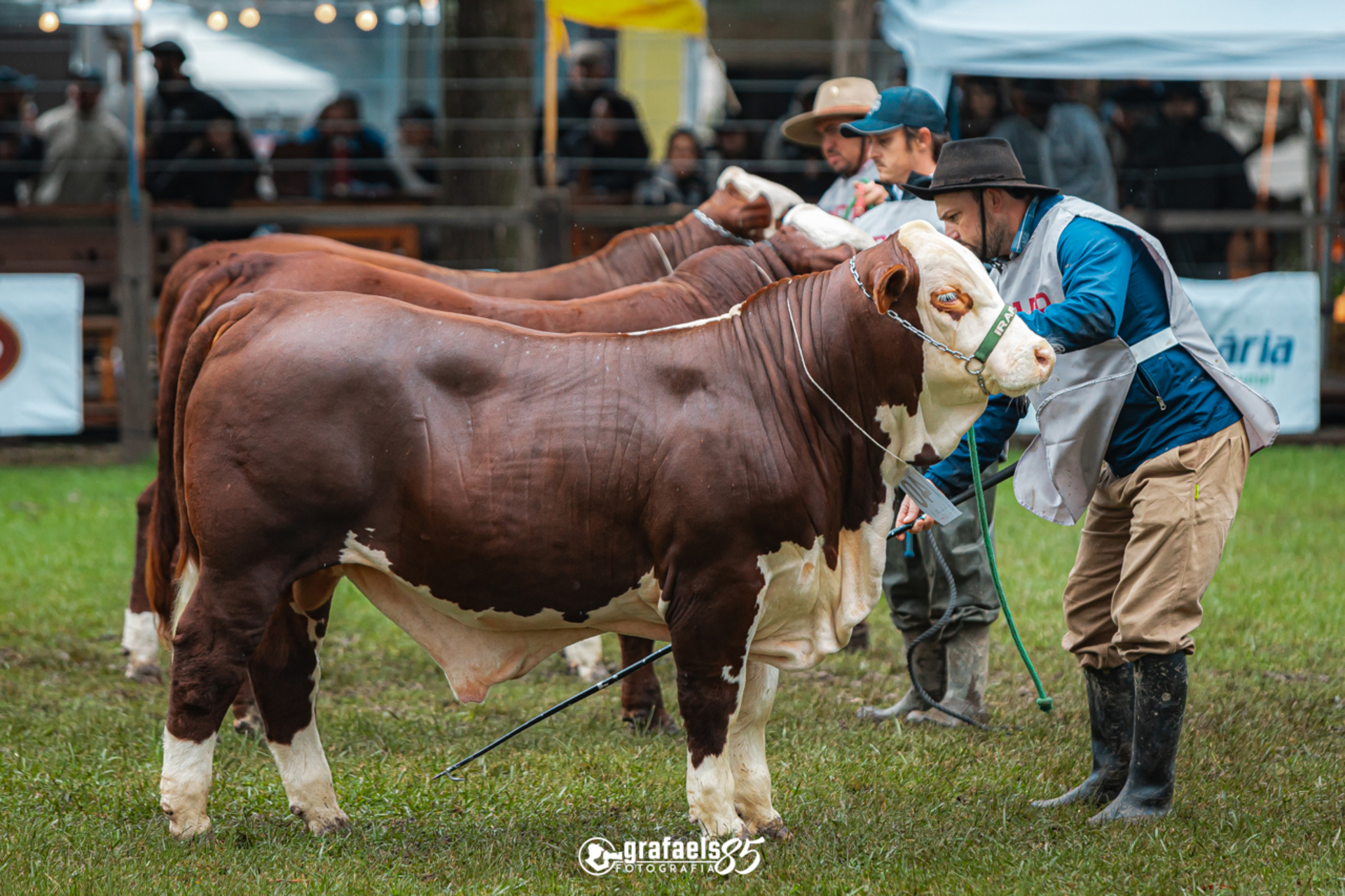 Expofeira de Bagé ocorre no próximo fim de semana