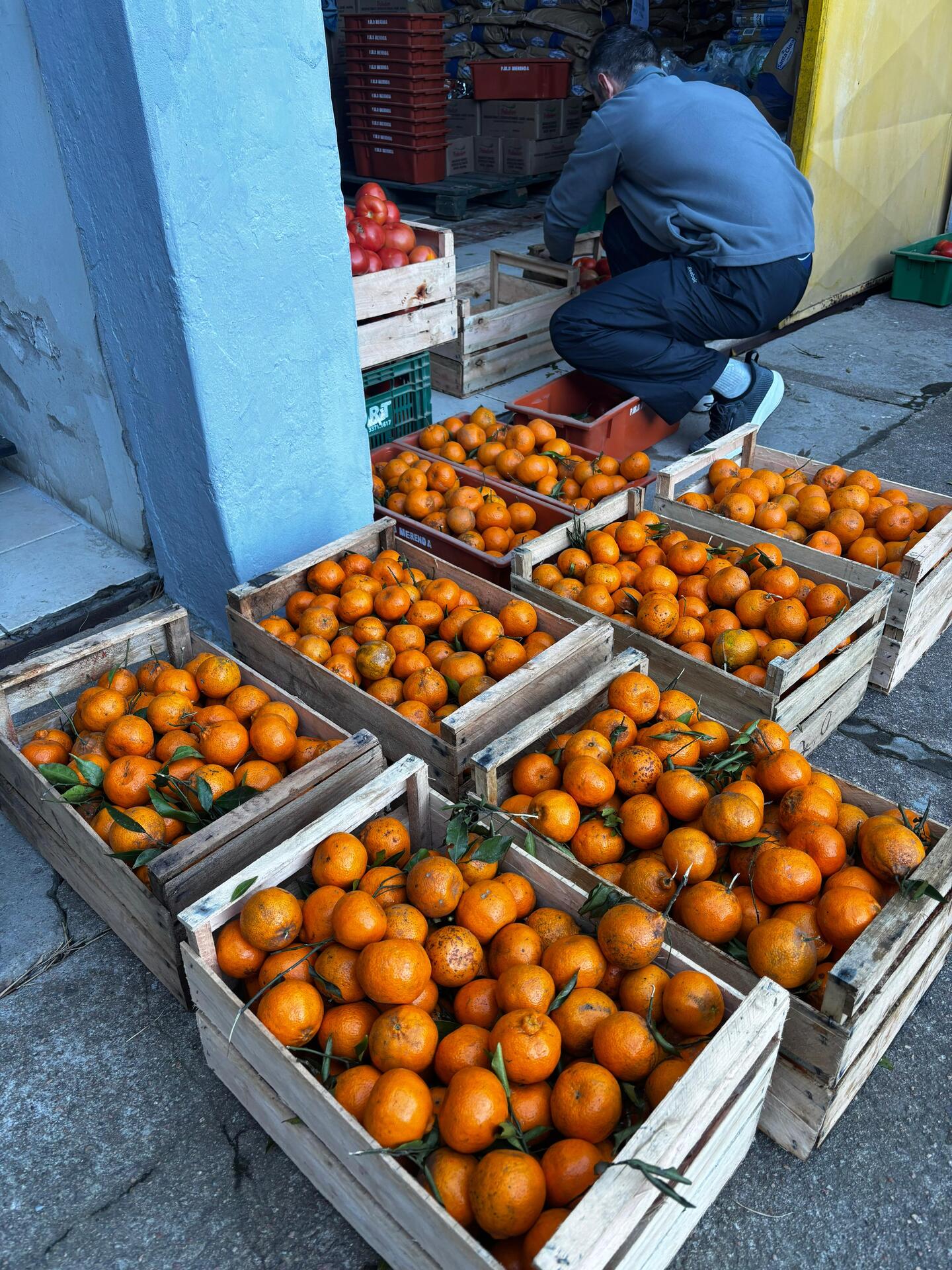 OAB Barro Preto - Doação de alimentos