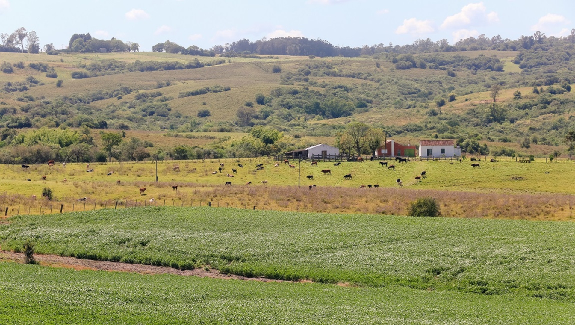 OAB Barro Preto - “Carta do Bioma Pampa” abre consulta pública