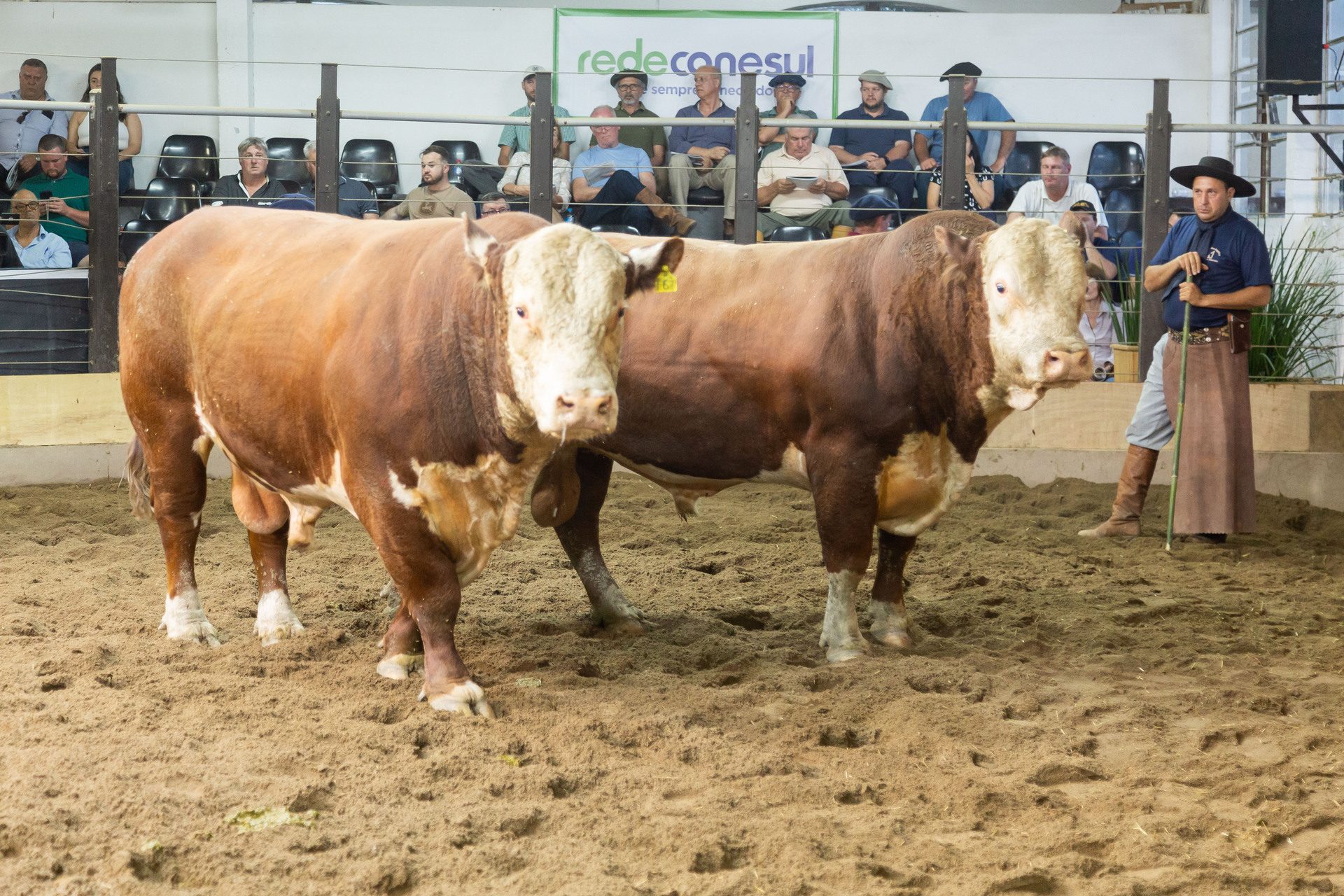 OAB Barro Preto - Agro, cultura e tecnologia movimentam programação da Farm Show