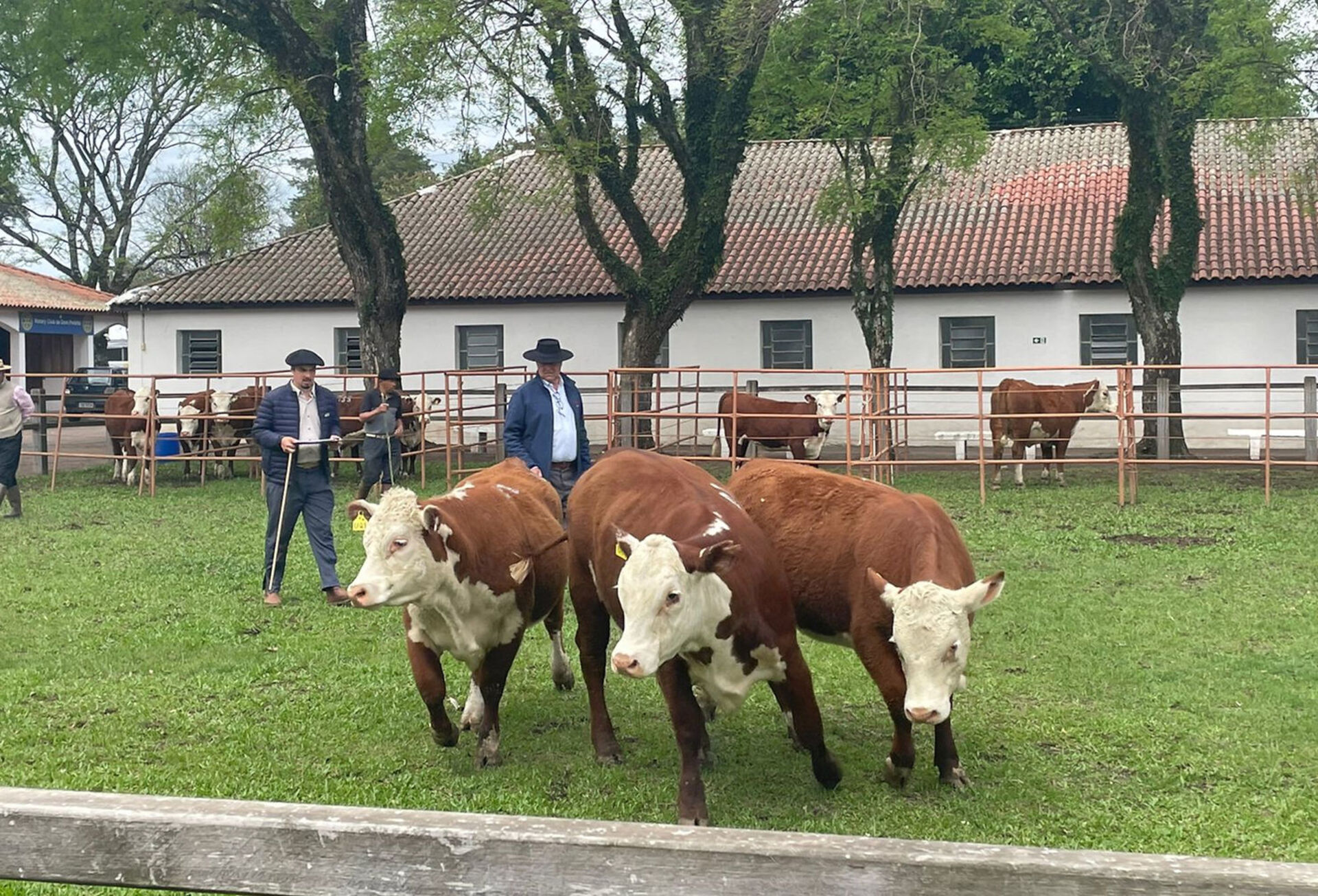 Exposição agropecuária começa dia 11