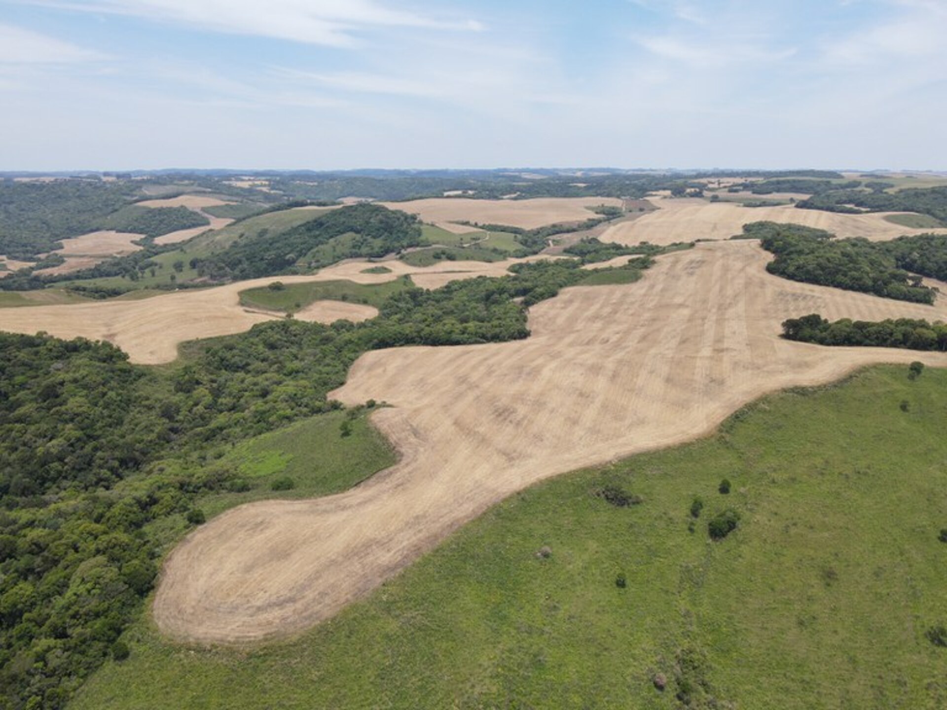 OAB Barro Preto - Ibama fiscaliza supressão de campos nativos em Bagé