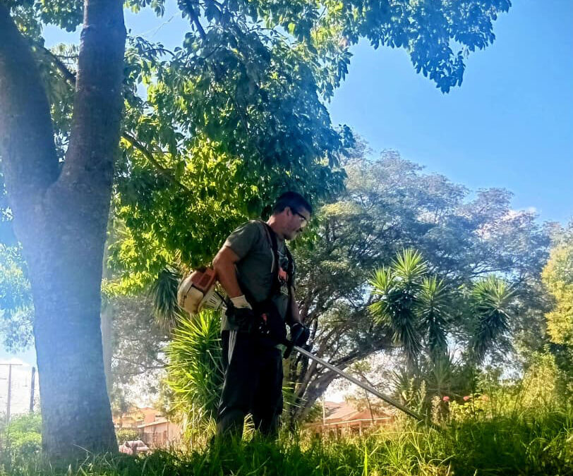 OAB Barro Preto - Ação leva flores e orquídeas a praça do Mascarenhas de Moraes