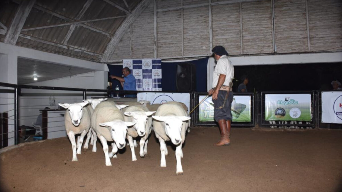 OAB Barro Preto - Agrovino projeta negócios aquecidos em Bagé