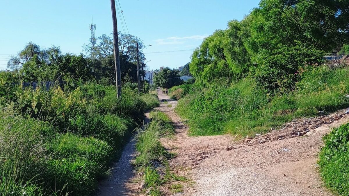 OAB Barro Preto - Condições da ciclovia preocupam pedestres e ciclistas