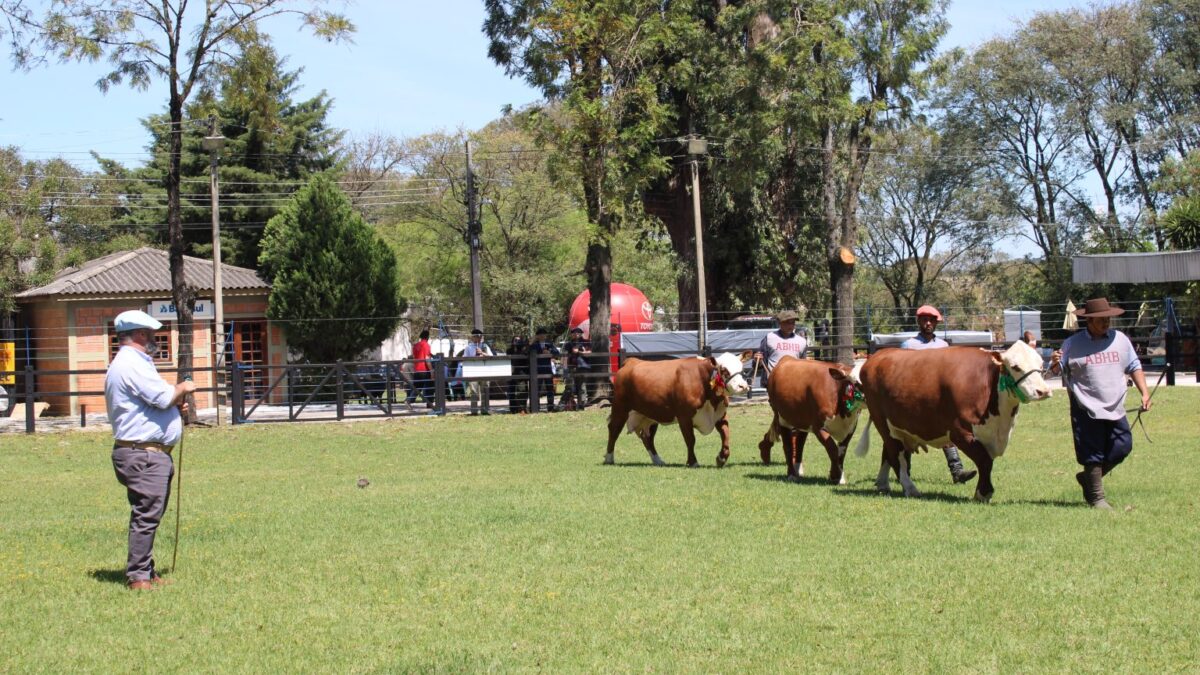 OAB Barro Preto - Bagé é destaque no calendário oficial de feiras agropecuárias