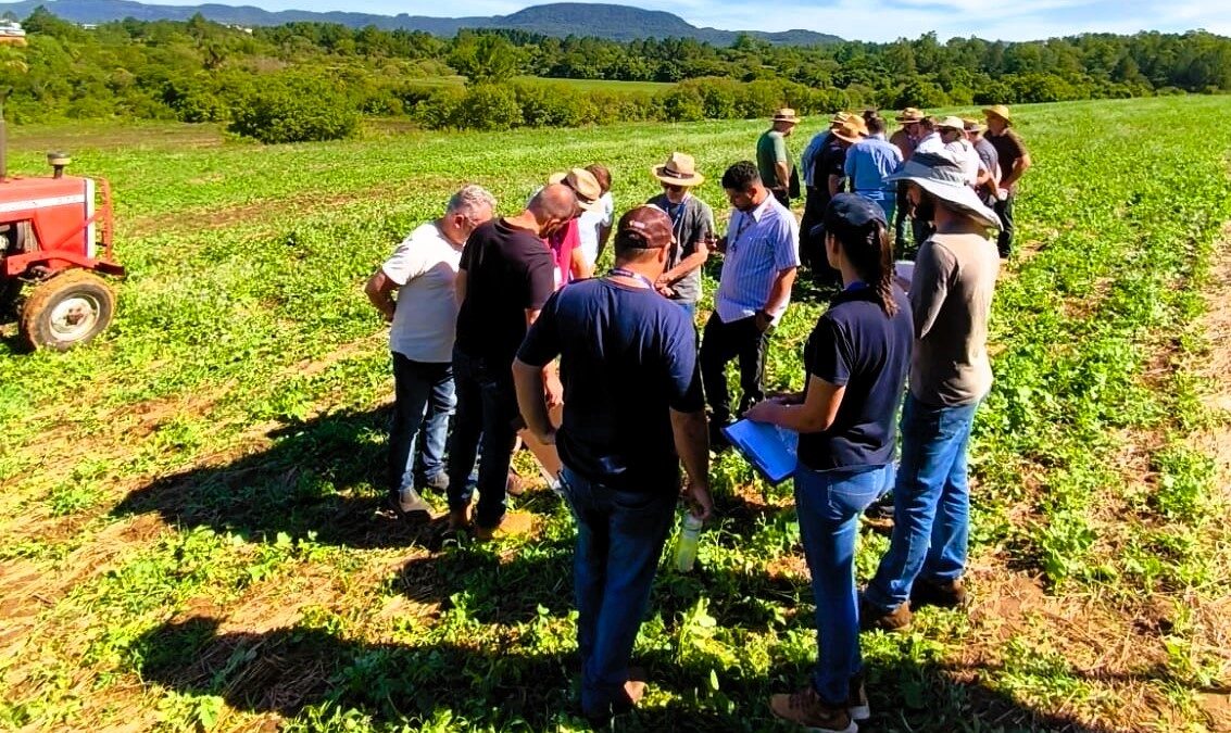 OAB Barro Preto - Terra Forte chega a Bagé e outros municípios da Campanha