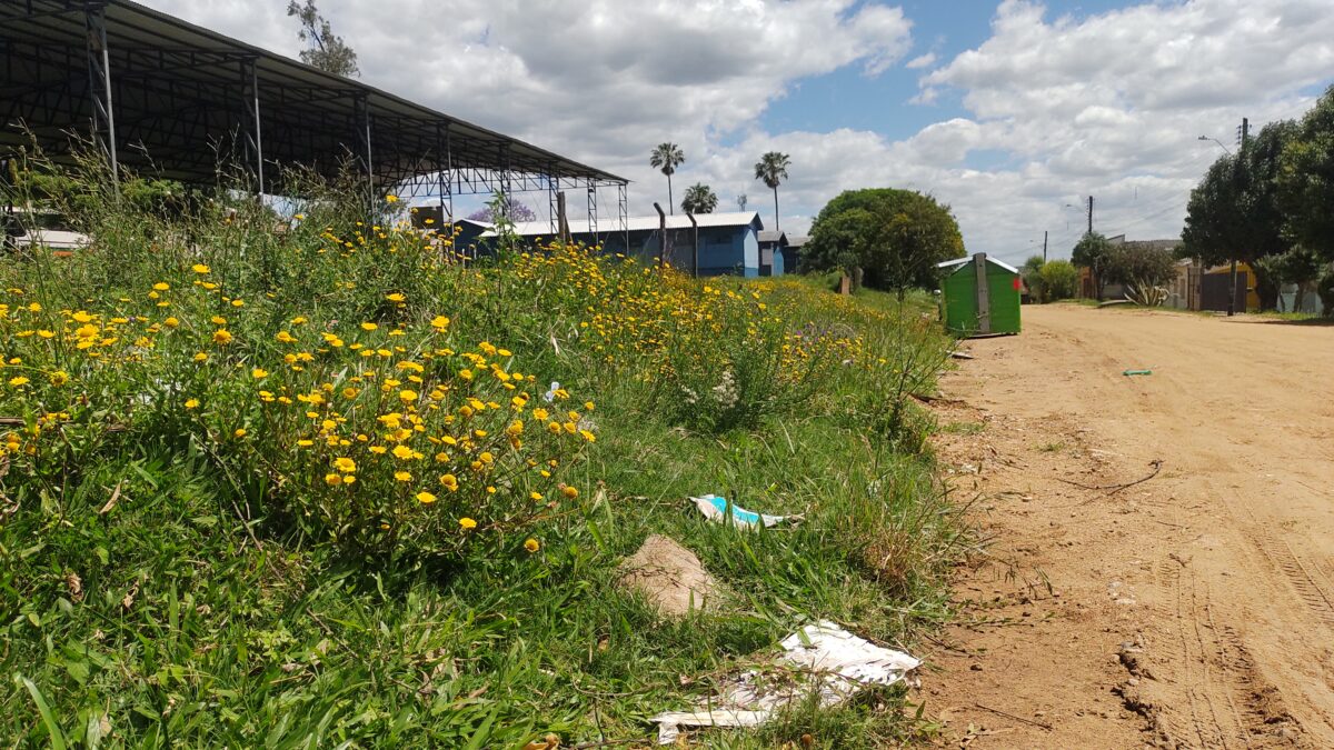 OAB Barro Preto - Bagé terá mutirão intensivo de limpeza urbana por 15 dias