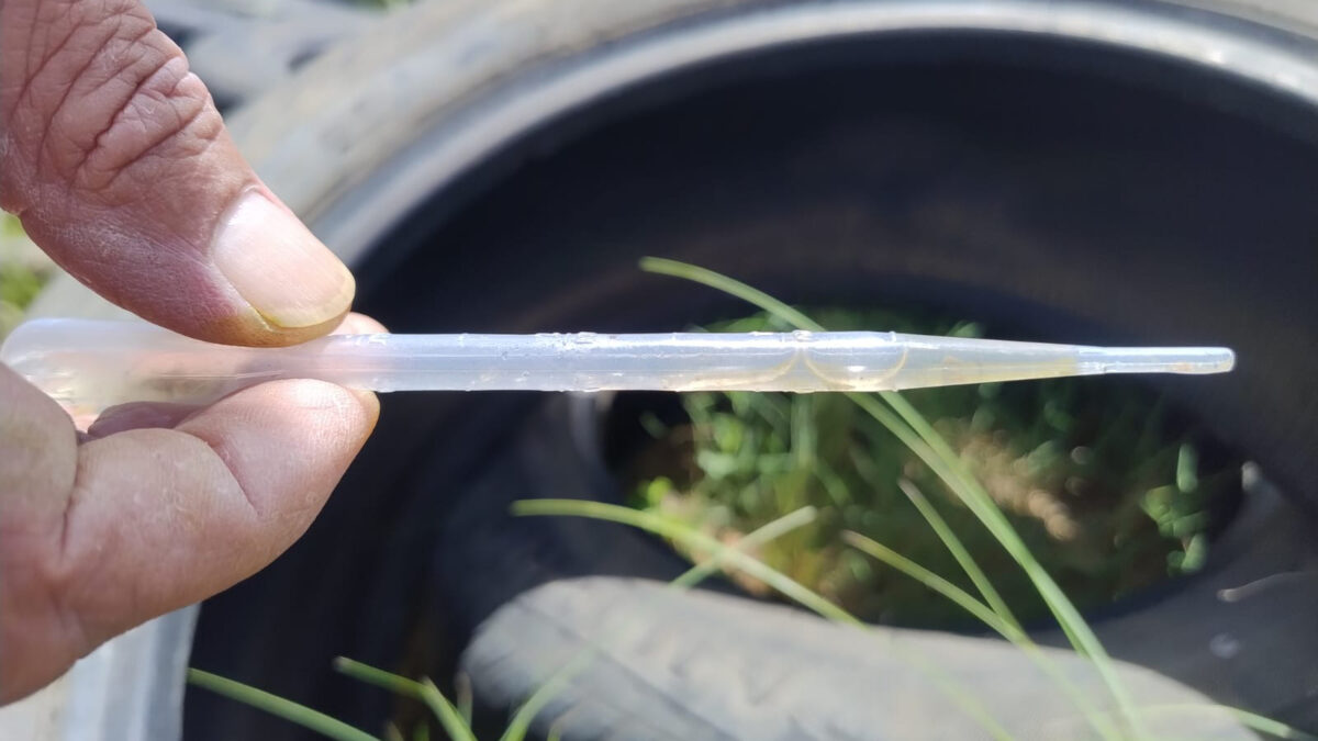 OAB Barro Preto - Focos de Aedes aegypti são identificados em 10 bairros